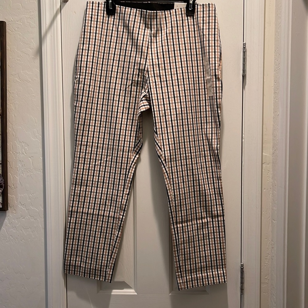 Shinny ankle dress pants
